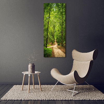 Wall art on glass Path in the forest