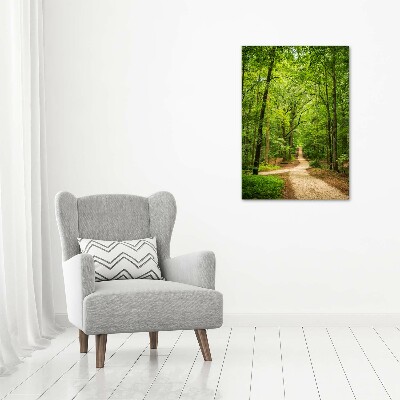 Wall art on glass Path in the forest