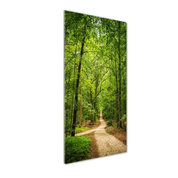 Wall art on glass Path in the forest