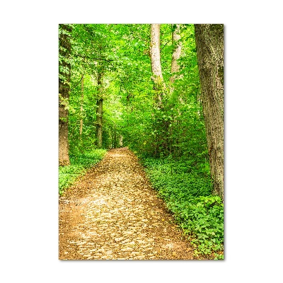 Print on a a glass Path in the forest