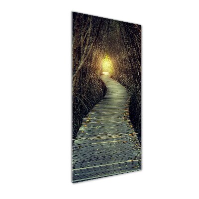 Glass wall art Path in the forest