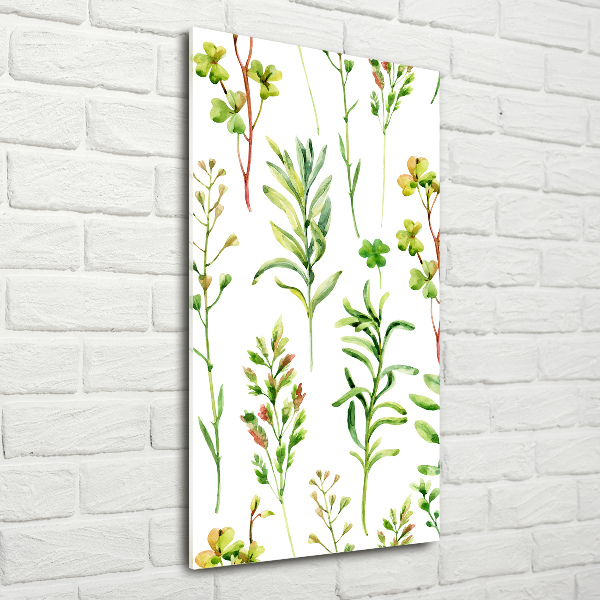 Photo printed on glass Weeds and herbs