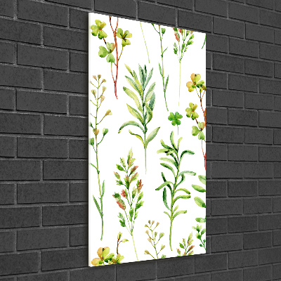 Photo printed on glass Weeds and herbs