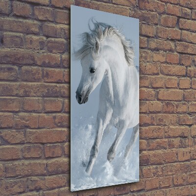 Wall art on glass White horse at a gallop