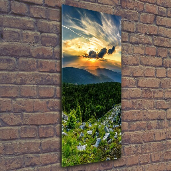 Wall art on glass Panorama of the mountains