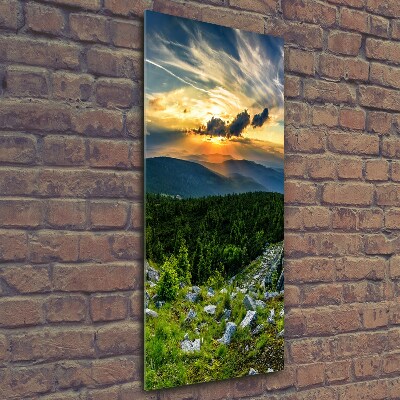 Wall art on glass Panorama of the mountains