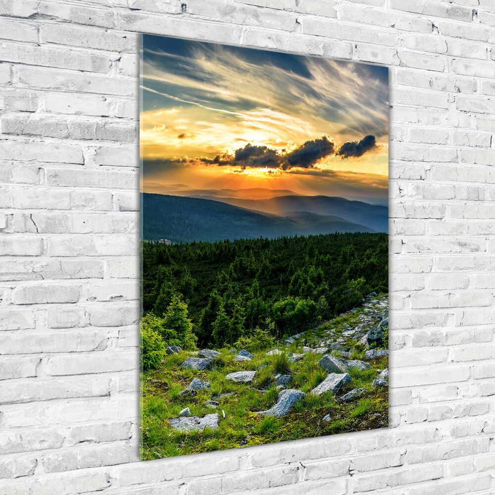 Wall art on glass Panorama of the mountains