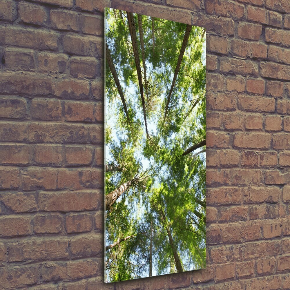 Wall art on glass Crown of trees