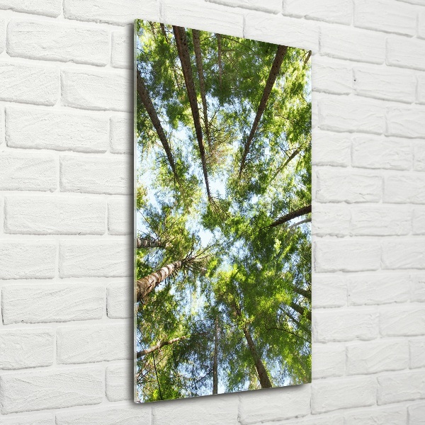 Wall art on glass Crown of trees