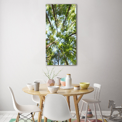 Wall art on glass Crown of trees