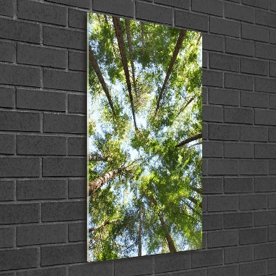 Wall art on glass Crown of trees