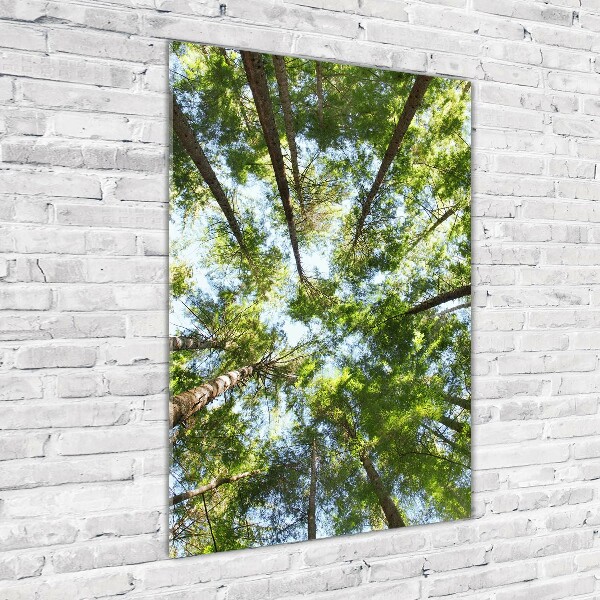 Wall art on glass Crown of trees