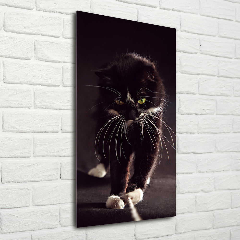 Print on a a glass Black cat