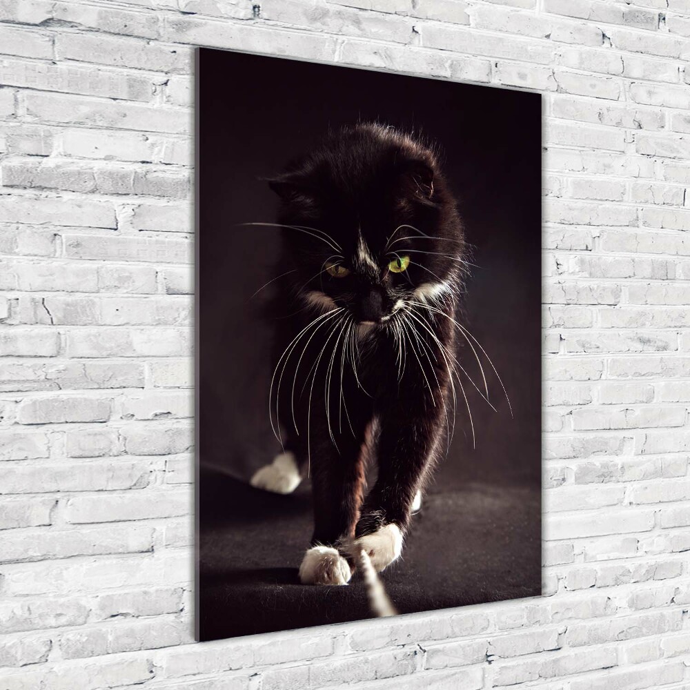 Print on a a glass Black cat