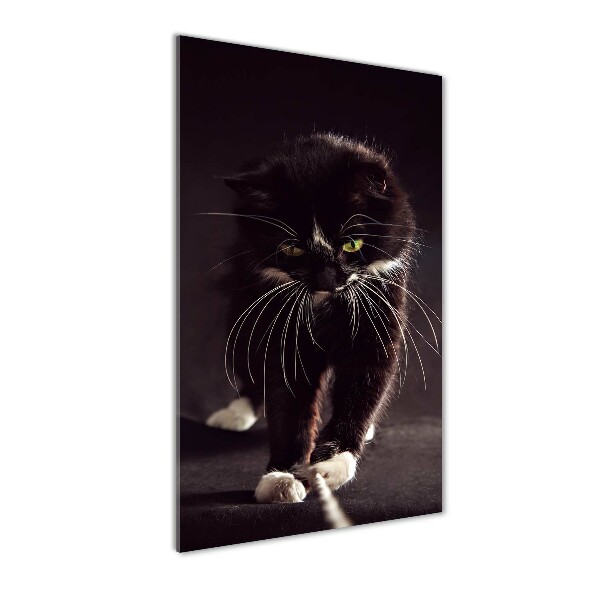 Print on a a glass Black cat