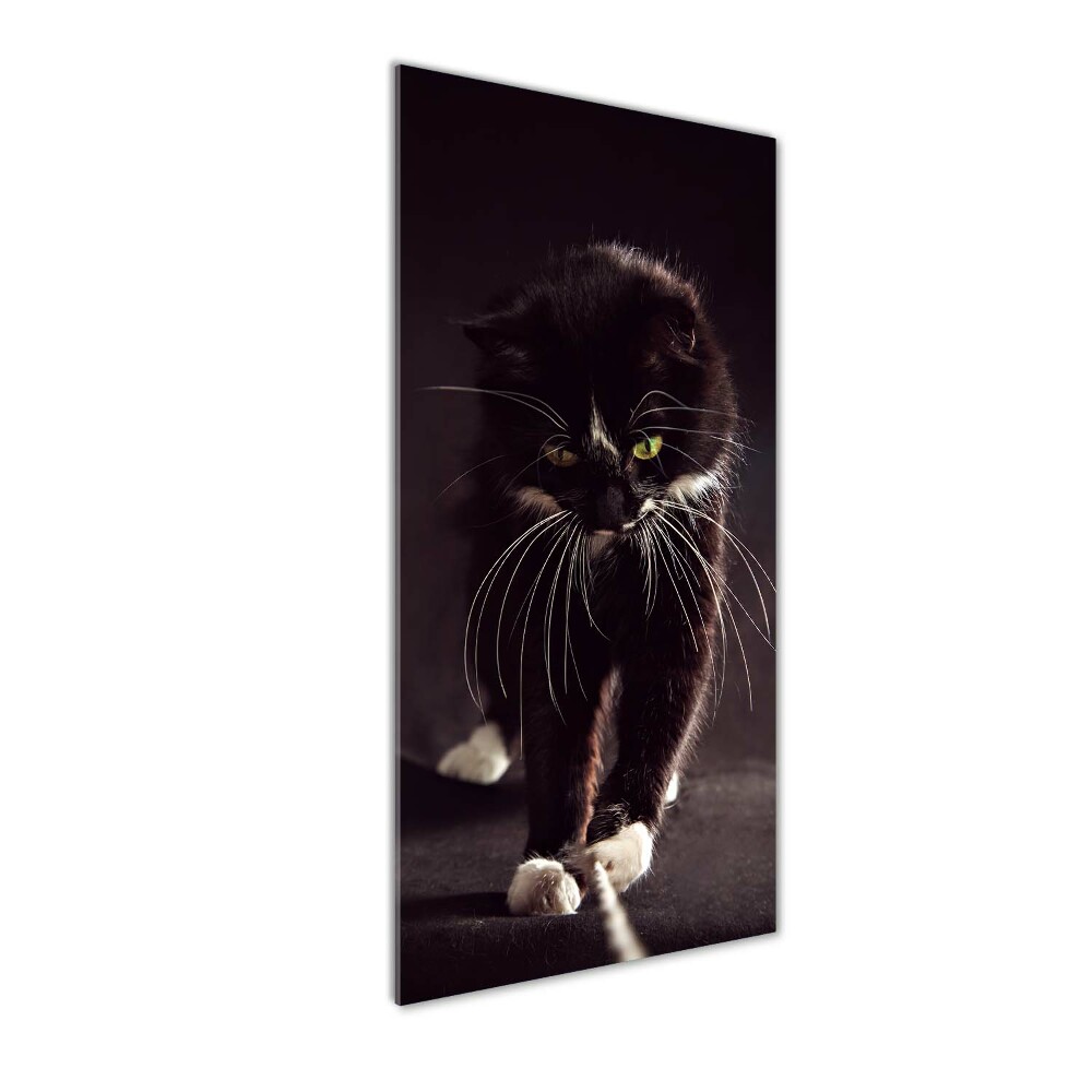 Print on a a glass Black cat