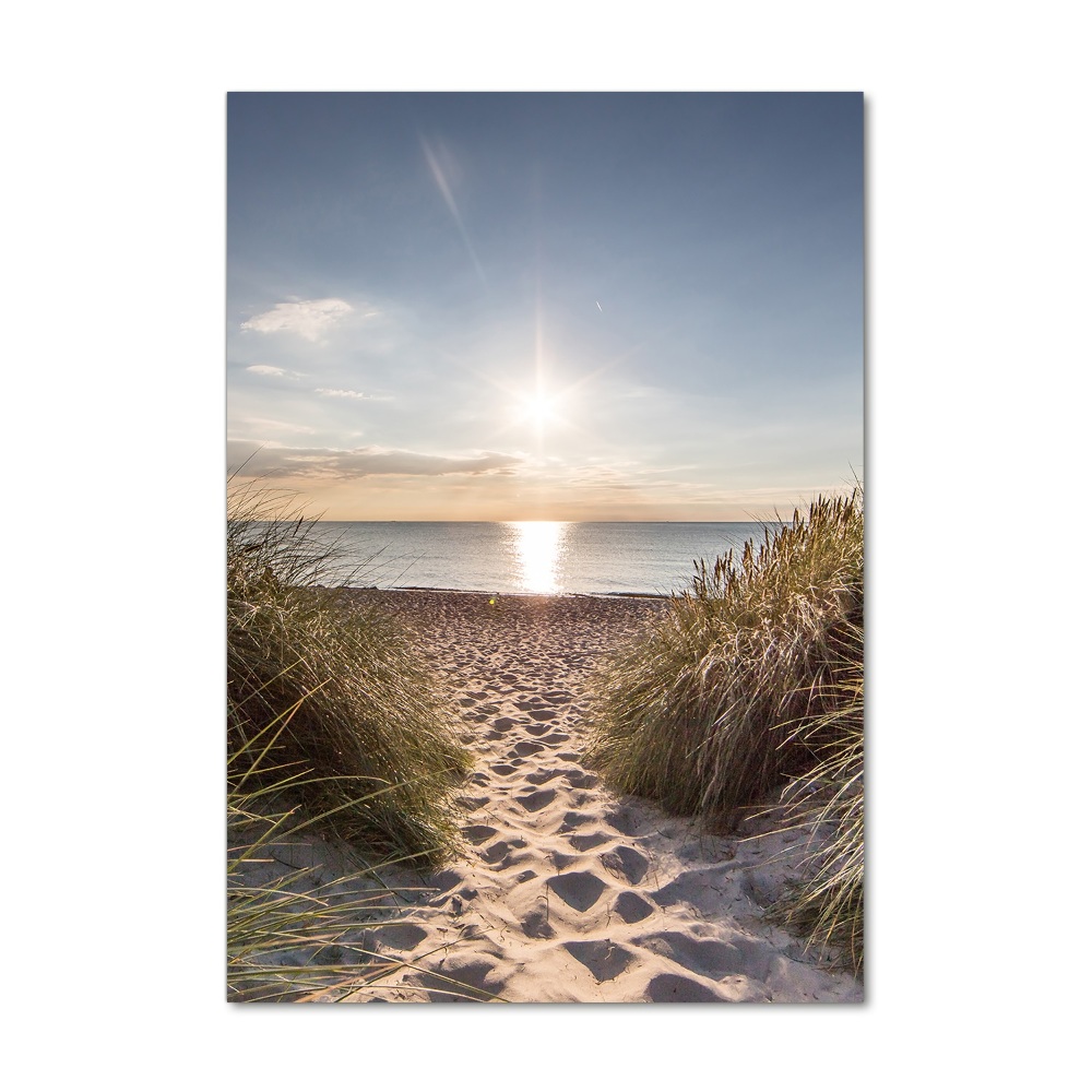 Print on a a glass Coastal dunes