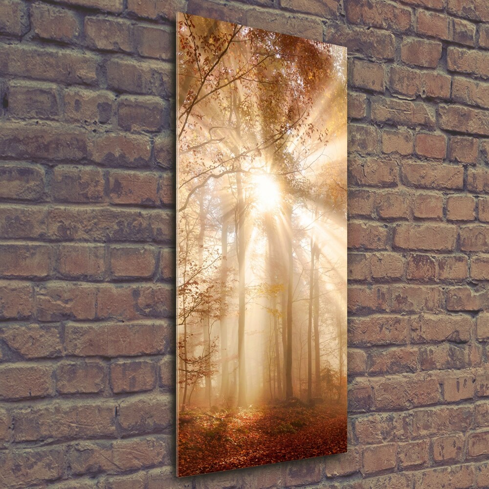 Glass wall art Forest in autumn