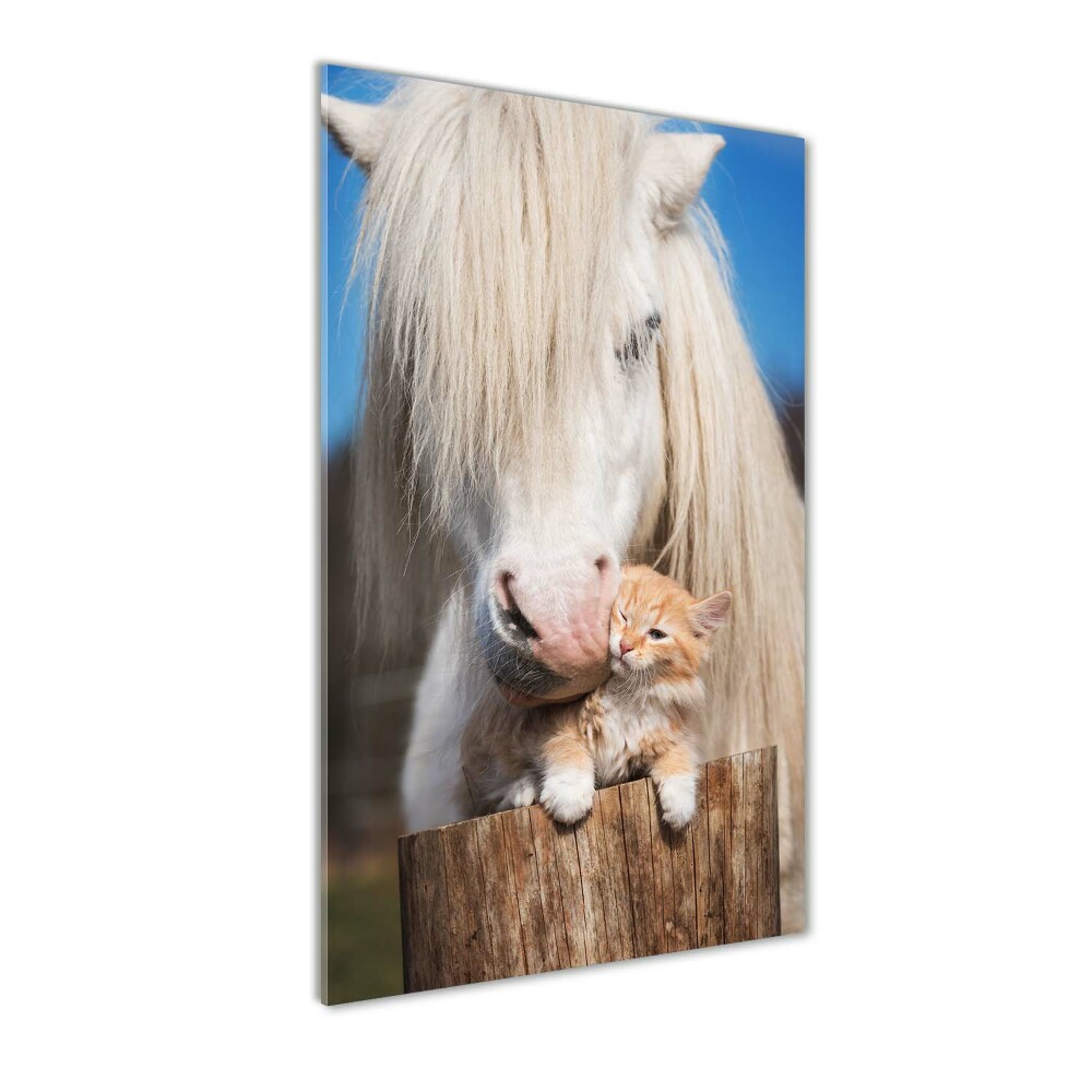 Print on a a glass White horse with a cat