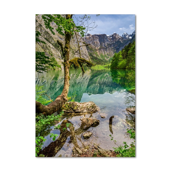 Wall art on glass Lake in the mountains