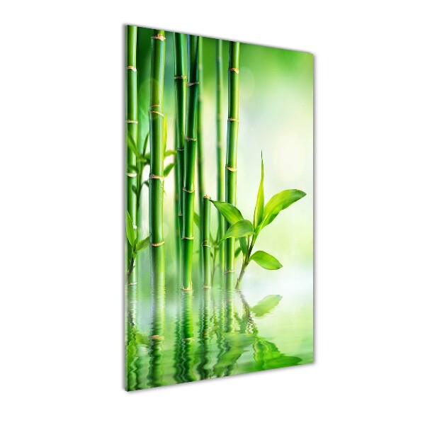 Wall art on glass Bamboo in water