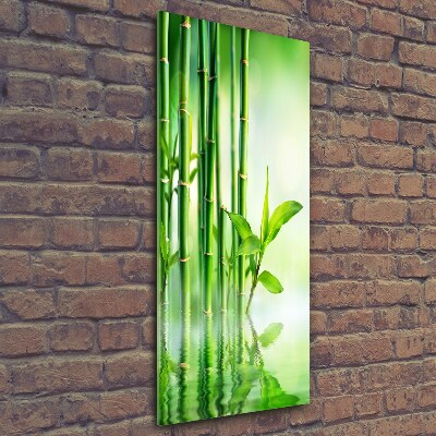 Wall art on glass Bamboo in water