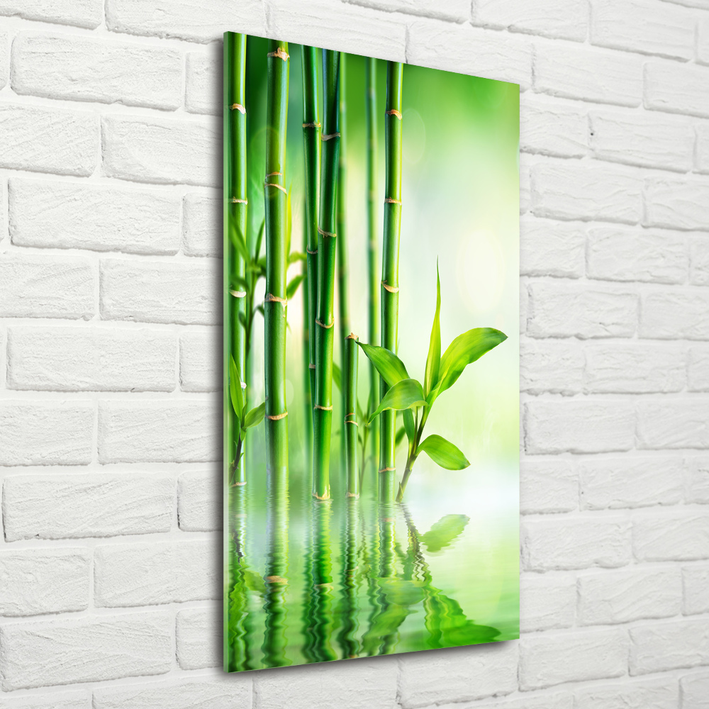 Wall art on glass Bamboo in water