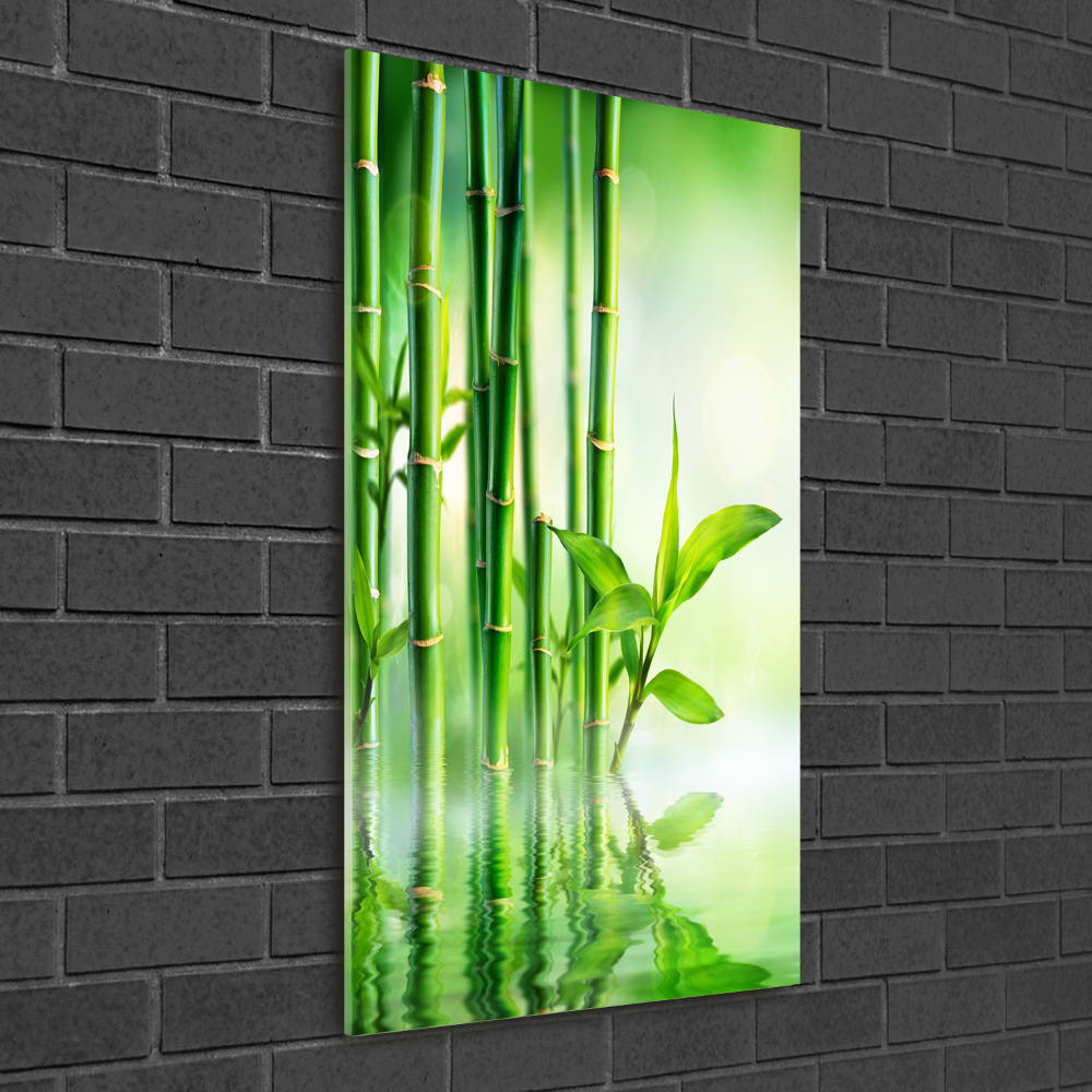 Wall art on glass Bamboo in water