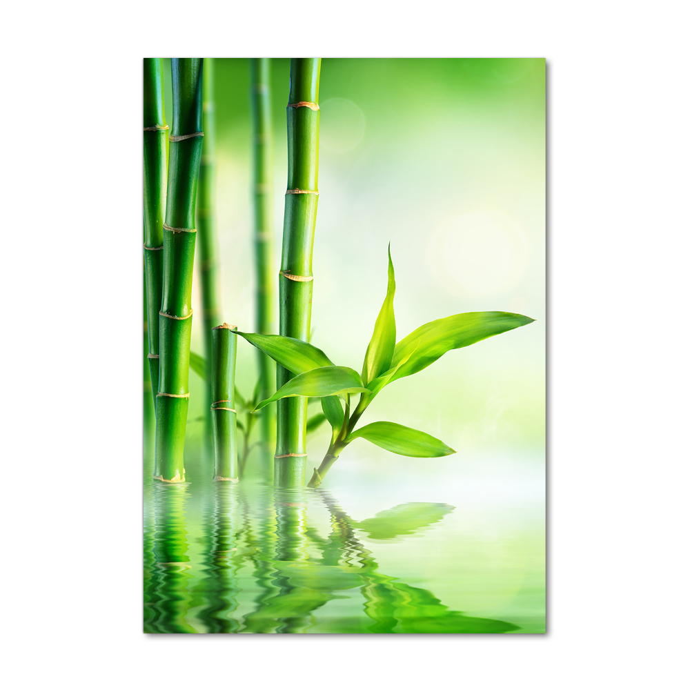 Wall art on glass Bamboo in water