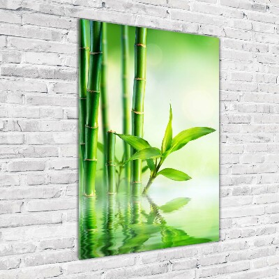 Wall art on glass Bamboo in water