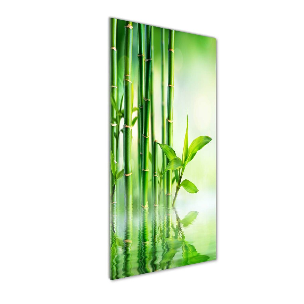 Wall art on glass Bamboo in water