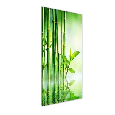 Wall art on glass Bamboo in water