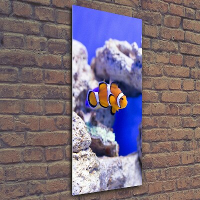 Wall art on glass Nemo fish