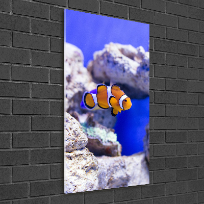 Wall art on glass Nemo fish