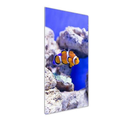 Wall art on glass Nemo fish