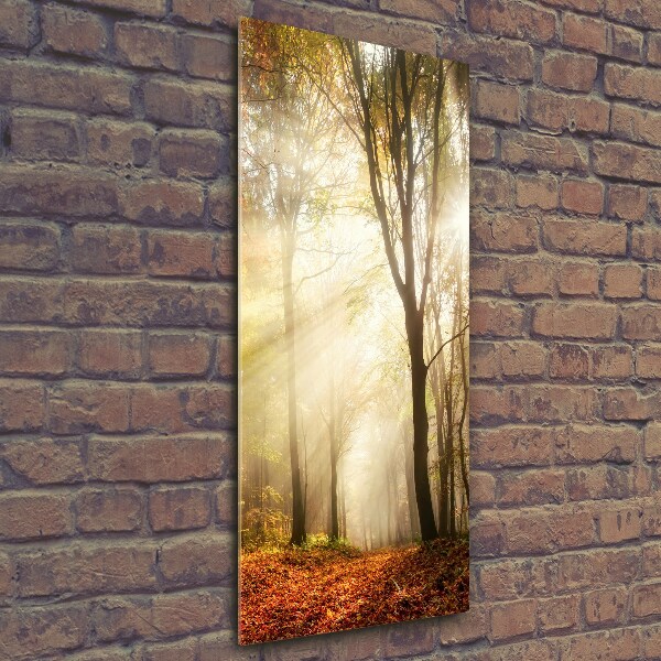 Wall art on glass Forest in autumn