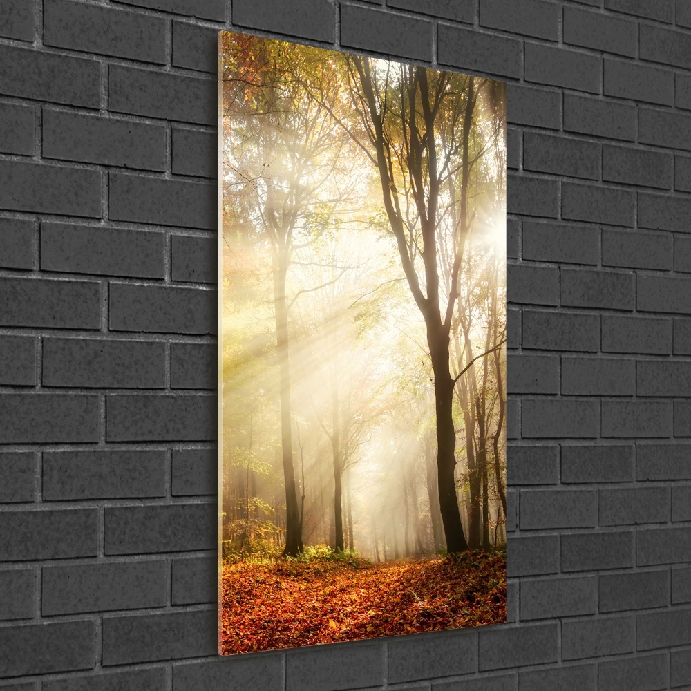 Wall art on glass Forest in autumn