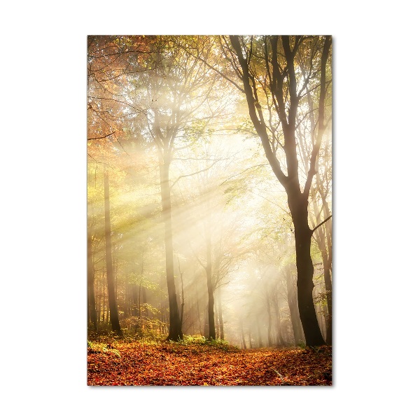 Wall art on glass Forest in autumn