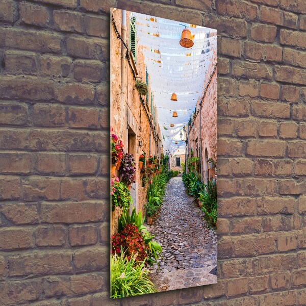 Printed glass wall art Majorca Spain