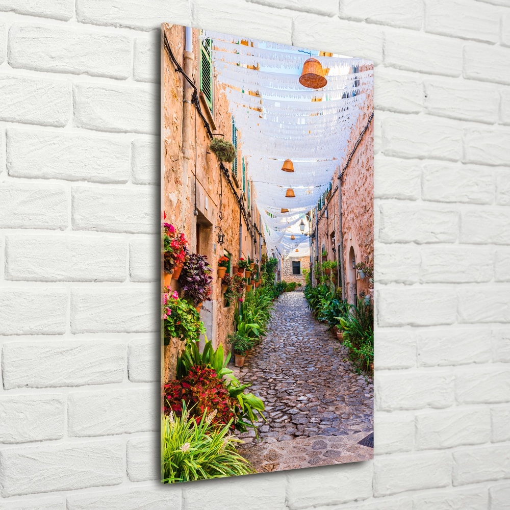 Printed glass wall art Majorca Spain