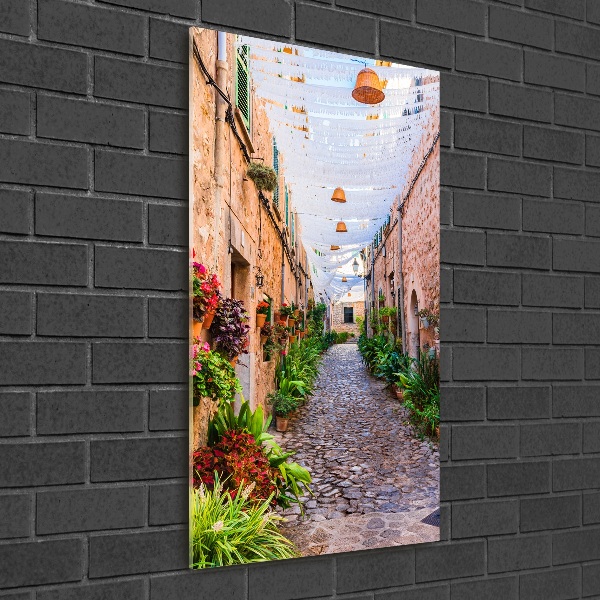 Printed glass wall art Majorca Spain