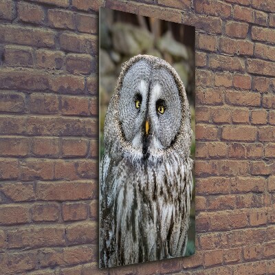 Wall art on glass Owl