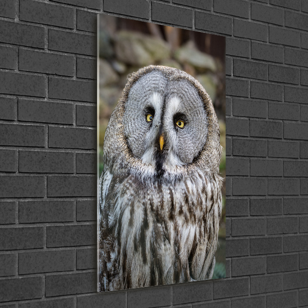 Wall art on glass Owl