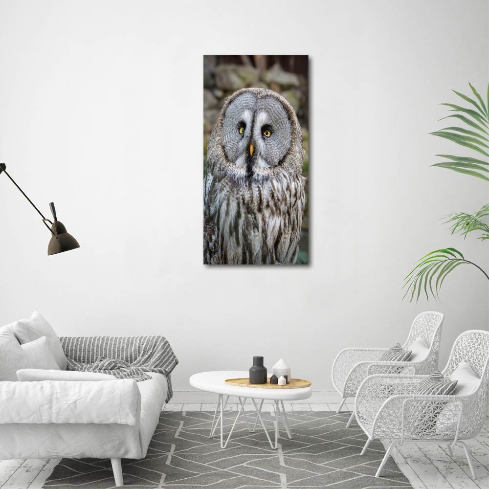 Wall art on glass Owl