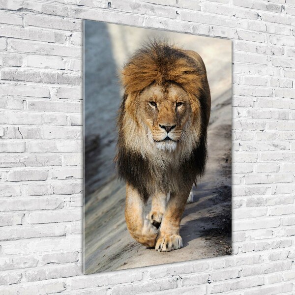 Print on a a glass Lion