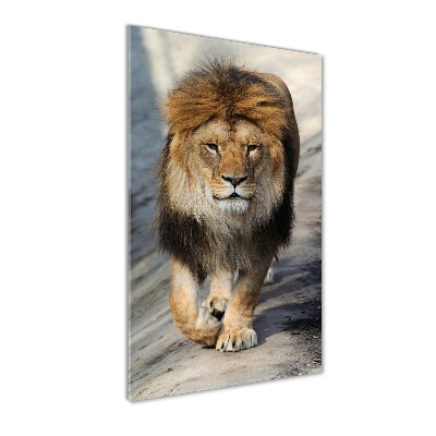 Print on a a glass Lion