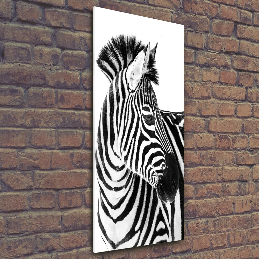 Wall art on glass Zebra in the snow