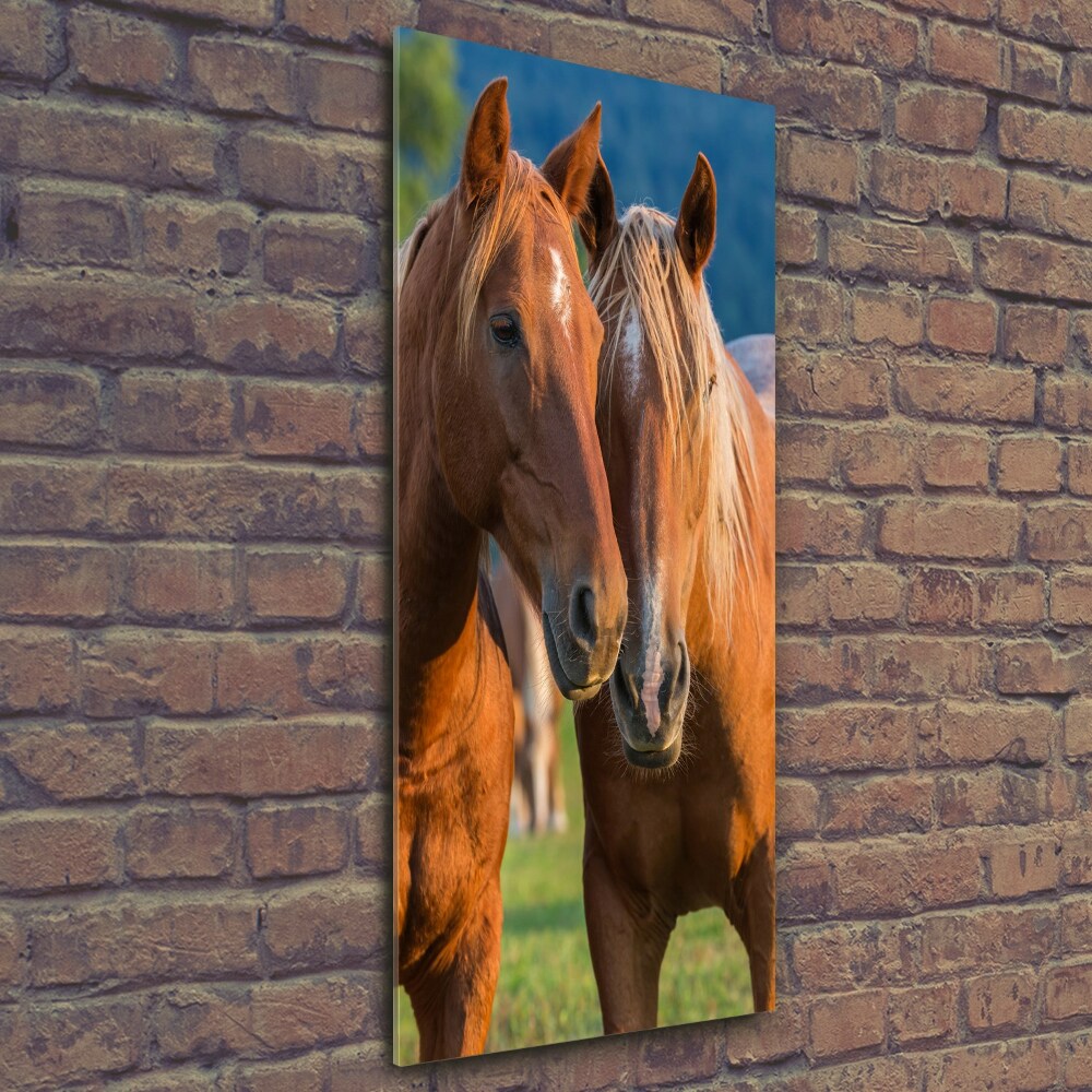 Wall art on glass Two horses