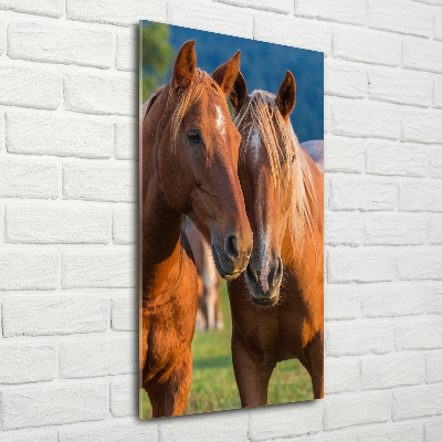 Wall art on glass Two horses