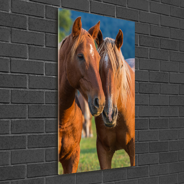 Wall art on glass Two horses